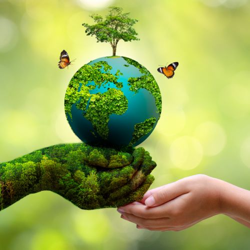 Environment, Bio-Diversity and Disaster Management